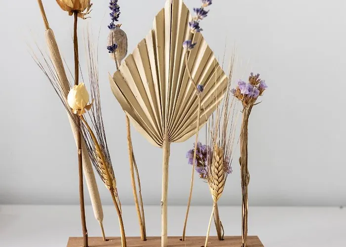 Apartman La Charrette Tilburg